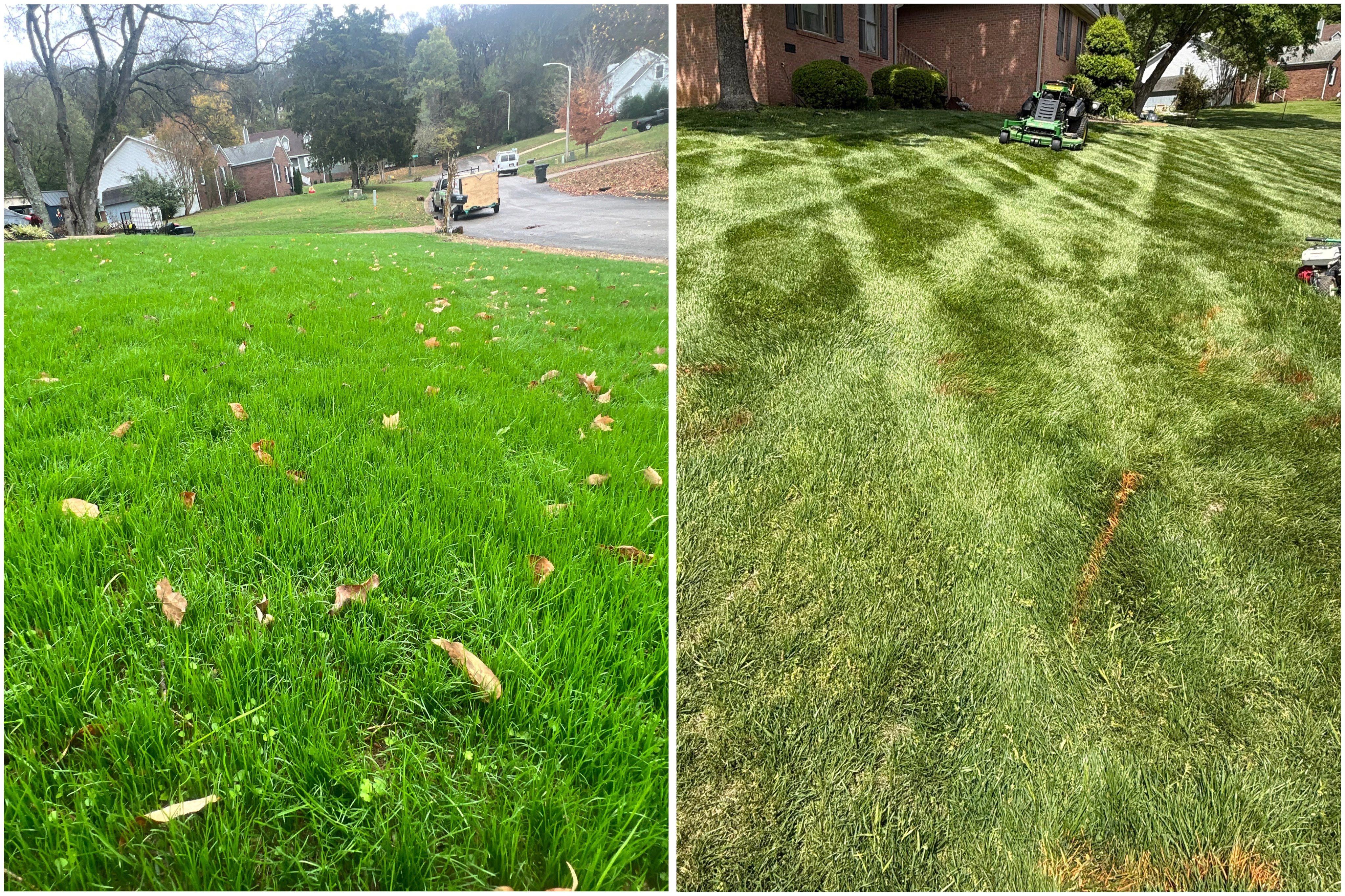 Before and after grass seeding by HB Lawncare