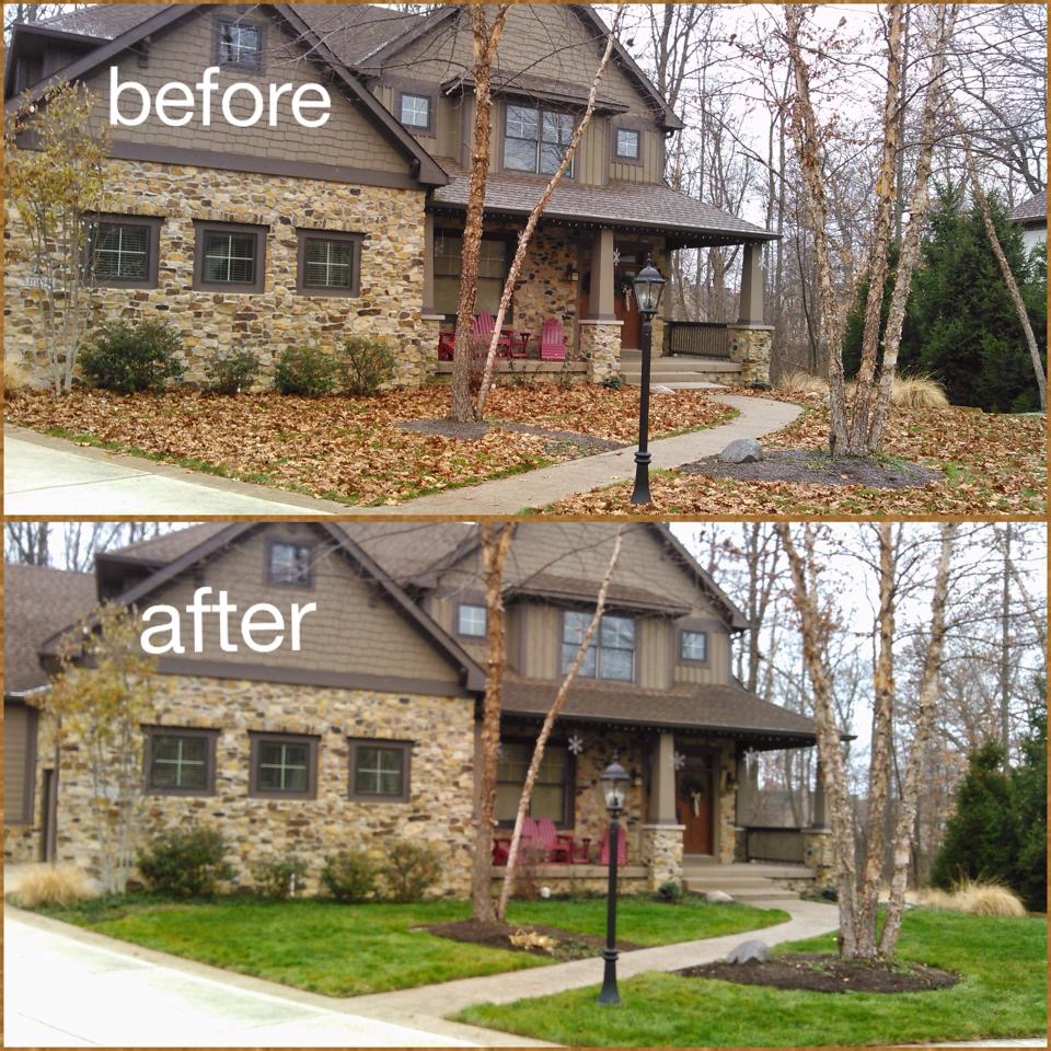 Before and after leaf removal service by HB Lawncare